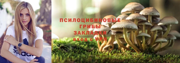 кокс Алагир