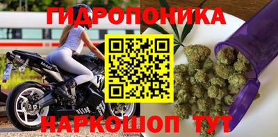 2c-b Аргун