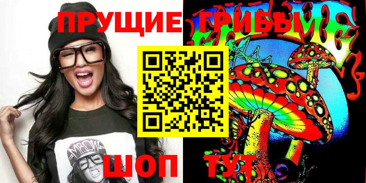 Псилоцибиновые грибы Psilocybe Асбест