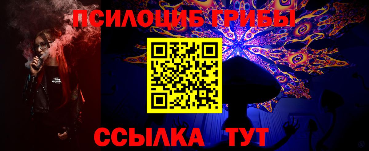Галлюциногенные грибы Psilocybine cubensis  Вход с VPN  Асбест  где можно купить наркотик  Галлюциногенные грибы прущие грибы 