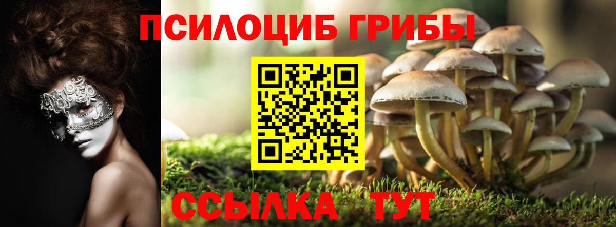Псилоцибиновые грибы MAGIC MUSHROOMS Асбест